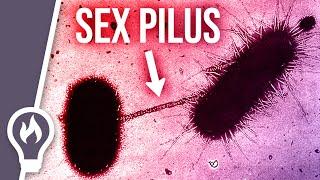 The Main Problem with Antibiotics