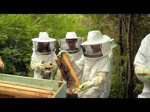 Applying Science in Real Life: Sparking Curiosity