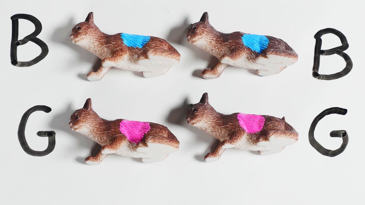 Maths just doesn't fit the brain very well